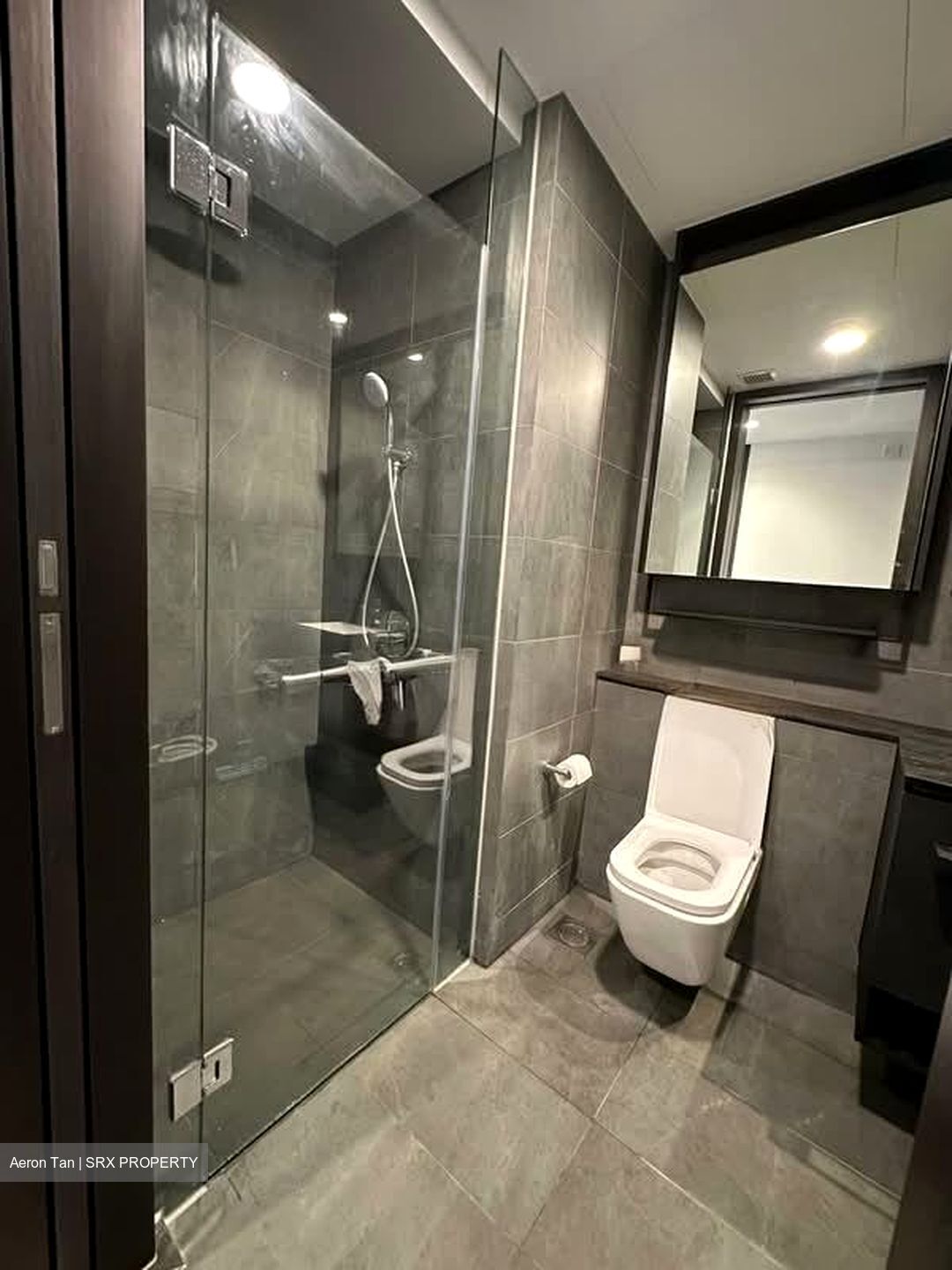 Park Colonial (D13), Condominium #539449761